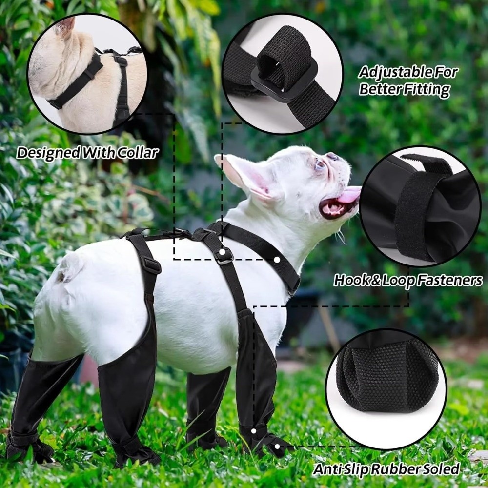 Anti-fall Waterproof Dog Shoes - Dog Booties Paw Protector บทวิจารณ์และราคา