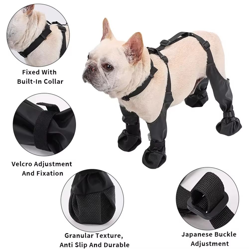 Anti-fall Waterproof Dog Shoes - Dog Booties Paw Protector บทวิจารณ์และราคา