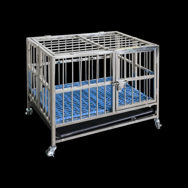 TTFactory Supply Various Sizes - Pet Supplies In Store บทวิจารณ์และราคา