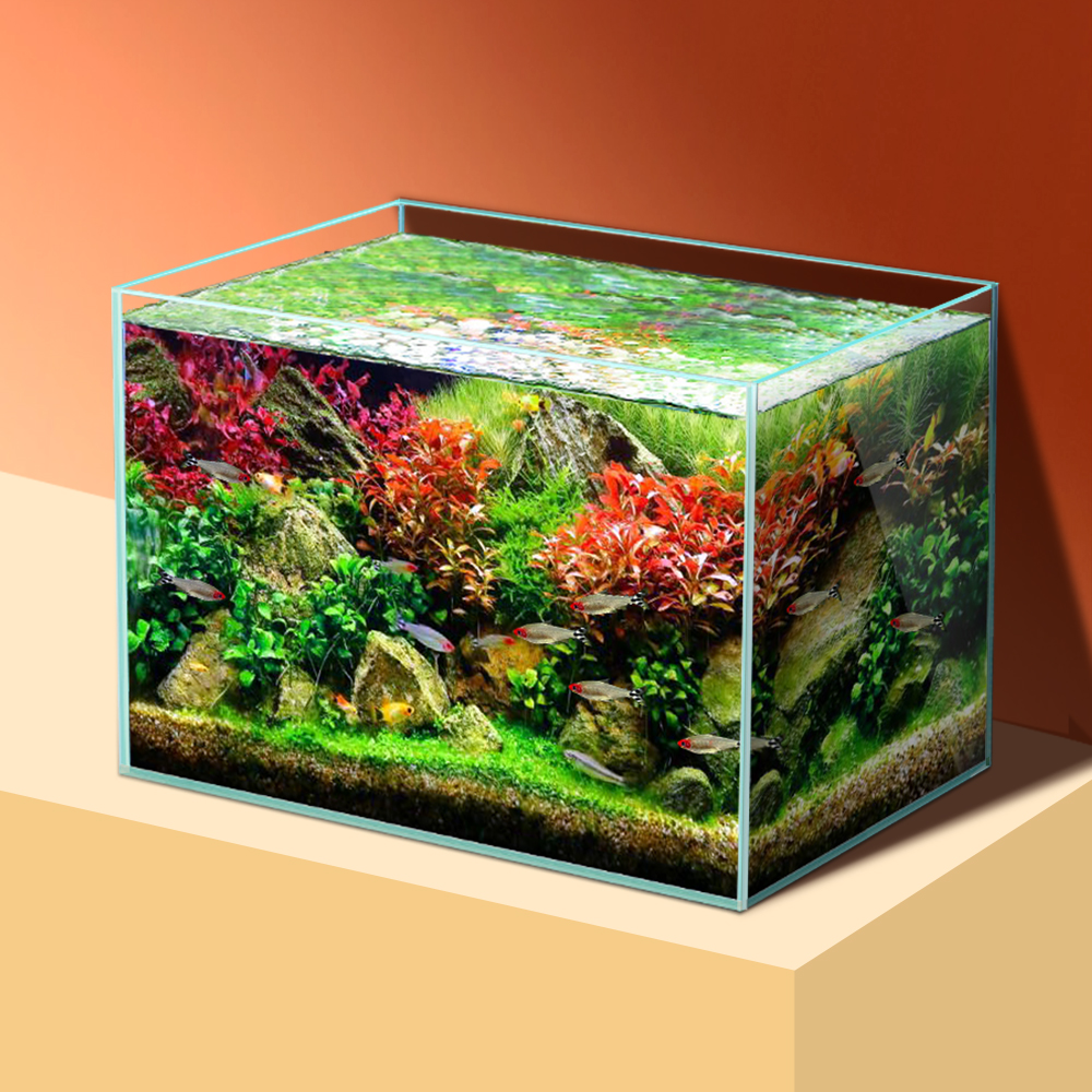 sttl Yee Pet Product Supplies  - Pet Supplies Fish บทวิจารณ์และราคา