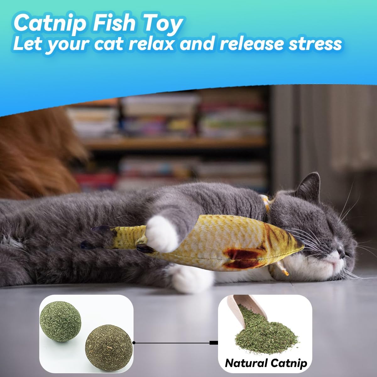27Pcs Cat Toy Combo Set, Catni - Catnip Toys บทวิจารณ์และราคา