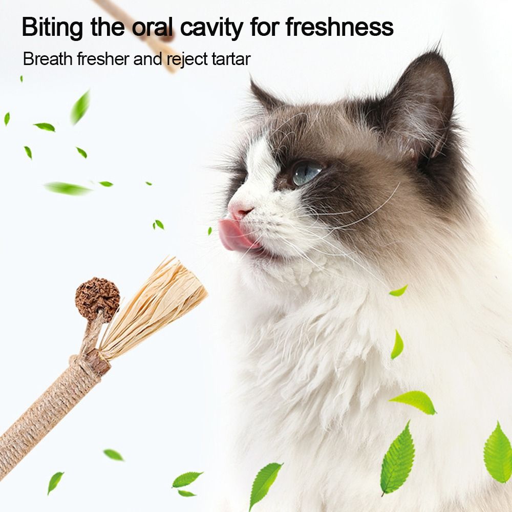 Silvervine Sticks Pet Cat Toys - Catnip Toys บทวิจารณ์และราคา