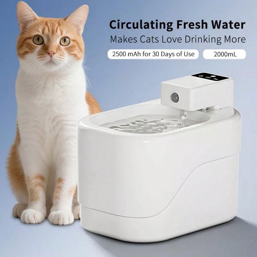 Smart Cat Water Fountain Autom - Pet Water Fountain บทวิจารณ์และราคา